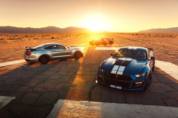 Ford Mustang Shelby GT500