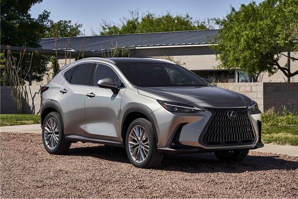 2022 Lexus NX