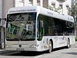 Mercedes Benz To Launch Buses In 2011 