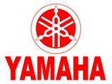 New Boss For Yamaha Motor In India
