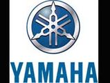 Yamaha Ties Up With Deccan Chargers As Official Team Partner