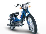 Moped Sales Rise; Making Comeback