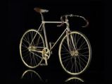 Bicycles Better Than Motor Vehicles