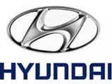 Hyundai Motor India Names New Vice President 