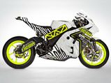 Team Icon Brammo's Cheetah & Zebra Inspired Livery