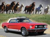 Iconic Animals Names In The Automobile World