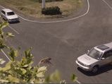 Speed Kills, New Zealand Transport Agency Shows In Dramatic Ad