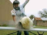 Airbag Demonstration Using Glass Of Water