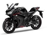 Yamaha R25 Reaches Vietnam Before India