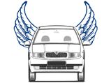 Bangalore Engineer To Design A Flying Car