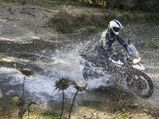 Triumph Motorcycles To Launch Tiger Twins In India Tomorrow