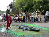 Bengaluru Artist Brings Crocodile To Protest Against Authorities