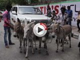 Toyota Land Cruiser Gets Towed By Donkeys In India