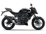 Kawasaki Z250SL Most Likely To Be Launched In India By 2015-end 