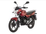 You Can't Buy A Discover 100, 100M & 125M Models Anymore!