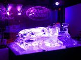 Jaguar F-Sleigh Showcased At Merchandise Launch For Christmas