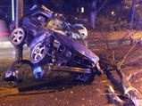 BMW Crashes Into Trees In Germany, Destroys 3, Gets Stopped By The Fourth 