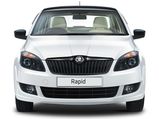 Skoda Suspends Sales Of Diesel Rapid With Manual Gearbox