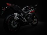 Revealed — How Much Power Does The Honda CBR250RR Produce?