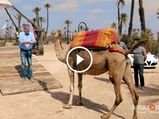 The Grand Tour Trailer: The Return Of Motoring's Maddest Trio Is As Crazy As It Gets 