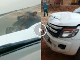 Raging Hippo Rams A Pickup Truck As Driver Cowers In Fear