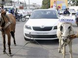 Skoda Octavia With Brake ‘Ass’ Power — Gets Towed By Donkeys In Public