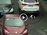 Child Run Over By Two Cars; Escapes Unharmed