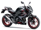 Kawasaki Z250 Launched In India; Priced At Rs 3.09 Lakh