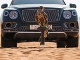 One-Off Bentley Bentayga Falconry by Mulliner Revealed — Any Takers?