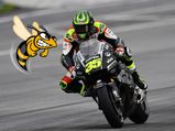 That Moment When A Wasp Got Into Cal Crutchlow's Riding Leathers