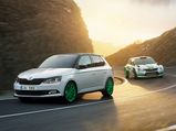 Skoda Reveals Fabia Limited Edition To Celebrate Rally Titles