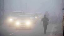 Delhi Air Pollution: Private Cars To Be Banned On Delhi Streets