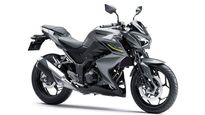 Kawasaki Z250 Discontinued — Officially Removed From Company Website