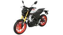 Yamaha MT15 BS6 Specifications Leaked: Minor Reduction In Power And Performance Figures