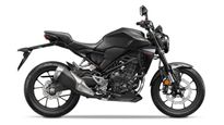 2024 Honda CB300R: Same But Different