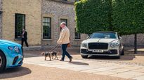 Bentley To Star In Goodwoof 2024 With Exclusive Features For Dog Lovers
