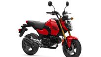Updated Grom Gets Fresh Look For 2025 Model Year: Honda Reveals MiniMOTO/Scooter Announcement