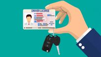 India To Streamline Driving License Process Through Authorized Driving Schools From June 2024