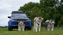 Isuzu UK Fuels Thrill With Sponsorship For 2024 World Sleddog Championship