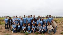 Hyundai And One Tree Planted Enhance Reforestation Efforts With 300,000 New Trees In North America