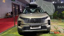 Tata Nexon EV, Harrier, Safari Bandipur Editions Unveiled At Auto Expo 2025 - Another Wildlife Special