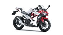 Kawasaki Ninja 250 & Z250 Updated: Sale Starts On November