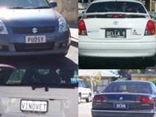 Brits forked out 87m pounds on car numbers in 2007