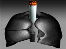 Cigar Shaped Bike To Ban Smoking