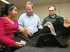 Go Green With Cars With Coconut Husks