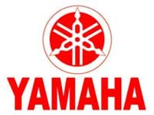 New Boss For Yamaha Motor In India