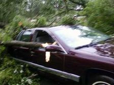 Car Insurance for Natural Calamities