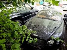 Luxury Car Scam Investigation Widens