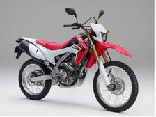 Will Honda Bring On-Off Road CRF 250L To India?