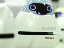 Nissan Studying Fish Schools To Develop Safer Cars